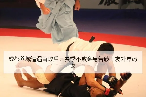 cheng-du-rong-cheng-zao-yu-shou-bai-hou-sai-ji-bu-bai-jin-shen-gao-po-yin-fa-wai-jie-re-yi-2-470.jpg